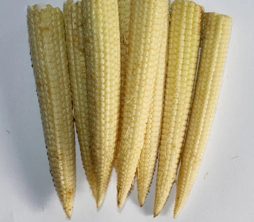 Mini Sweet Corn Seeds - Zea mays - Non-GMO, Heirloom, Garden Planting, Fresh Seeds for Small Gardens & Containers