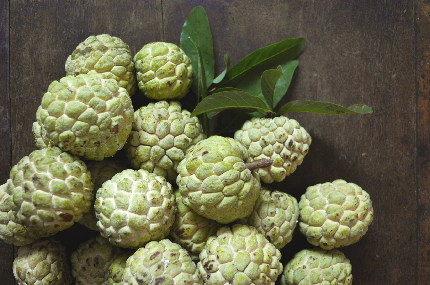 Custard Sugar Apple Tree Seeds - 10 Non-GMO Annona Squamosa Tropical Fruit Seeds for Home Garden