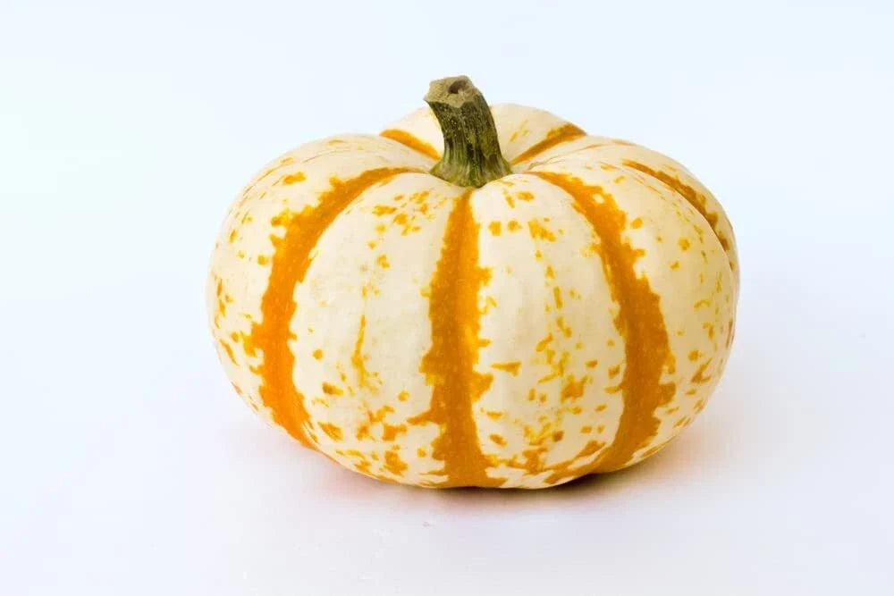 Dwarf Pumpkin Seeds - Compact Growth - Striped Fall Decor - Cucurbita pepo - 10 Pack