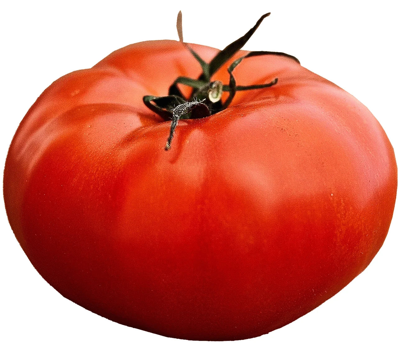 Giant Beefsteak Tomato Seeds – Heirloom Solanum lycopersicum – Large, Meaty Fruits, Non-GMO, 200+ Seeds for Bountiful Harvest