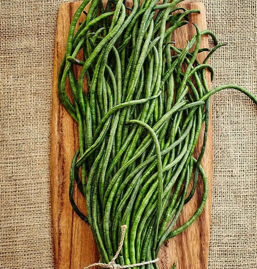 30 Yard Long Bean Seeds – Chinese Green Beans, Asian Snake Pods, Vigna unguiculata subsp. sesquipedalis, Climbing Vine Seed Pack