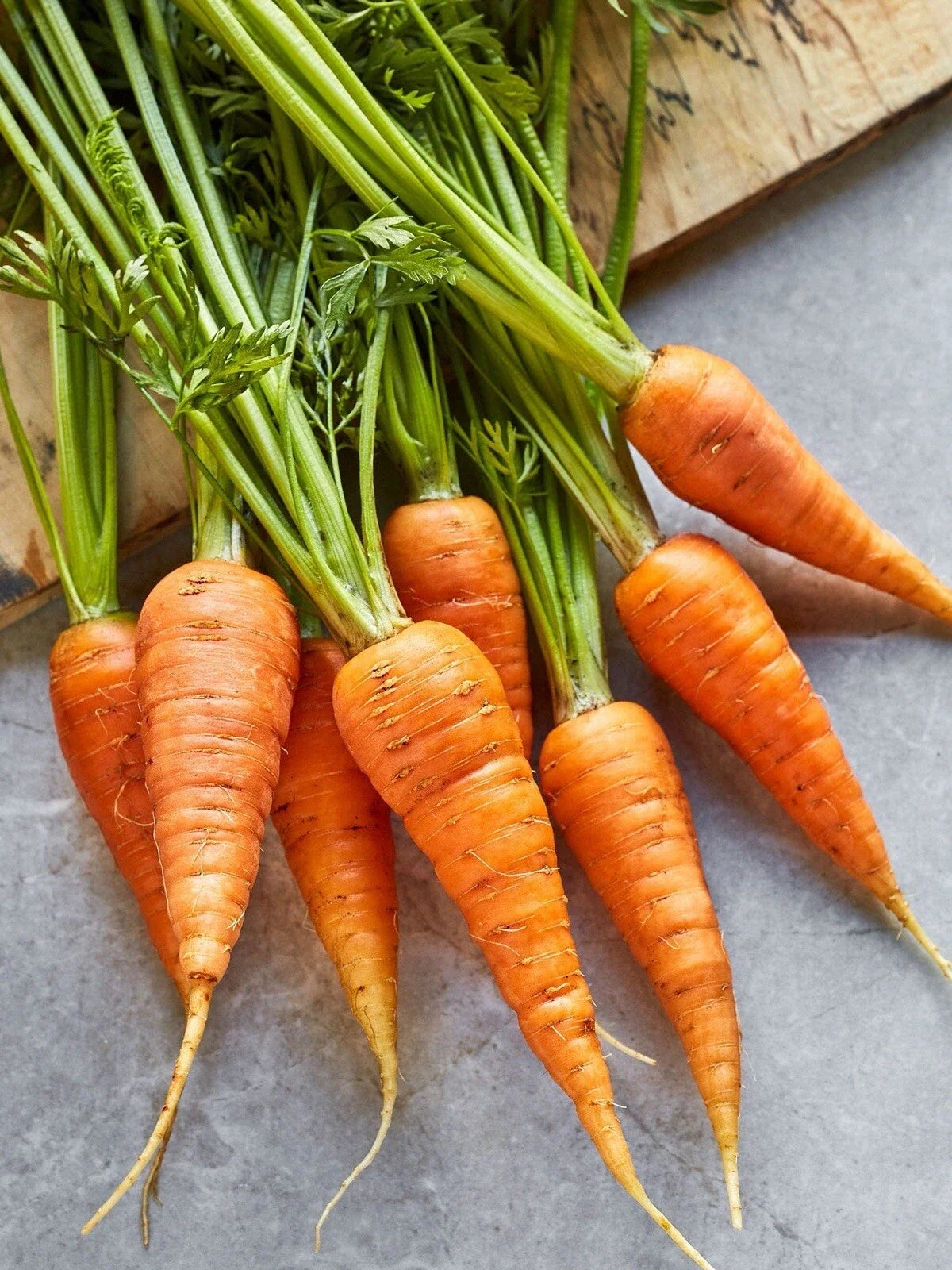Danvers 126 Carrot Seeds – Non-GMO Heirloom Daucus carota, 200+ Premium Seeds for Home Garden, Sweet & Crisp Flavor