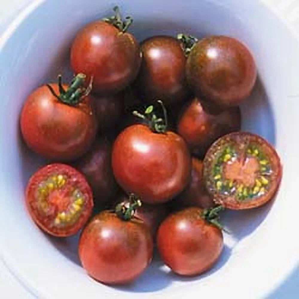 Brown Berry Tomato Seeds - 30+ Heirloom, Non-GMO, Organic - Rare Home Garden Variety