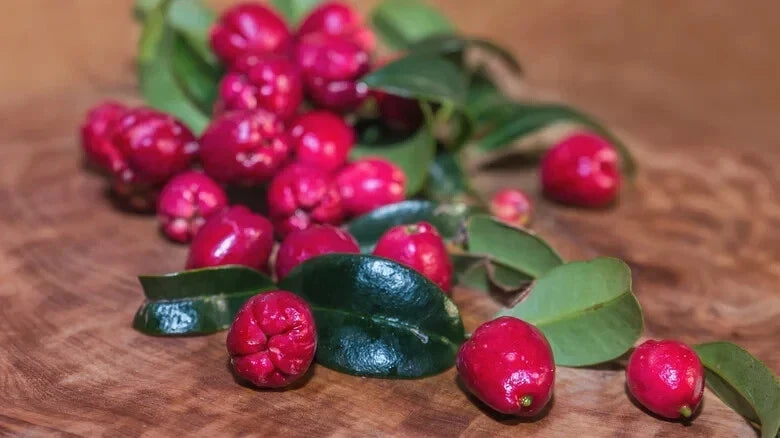 Magenta Cherry Seeds - 10+ Pack, Solanum lycopersicum, Vibrant Magenta Cherries, Garden Planting, Non-GMO, USA Grown