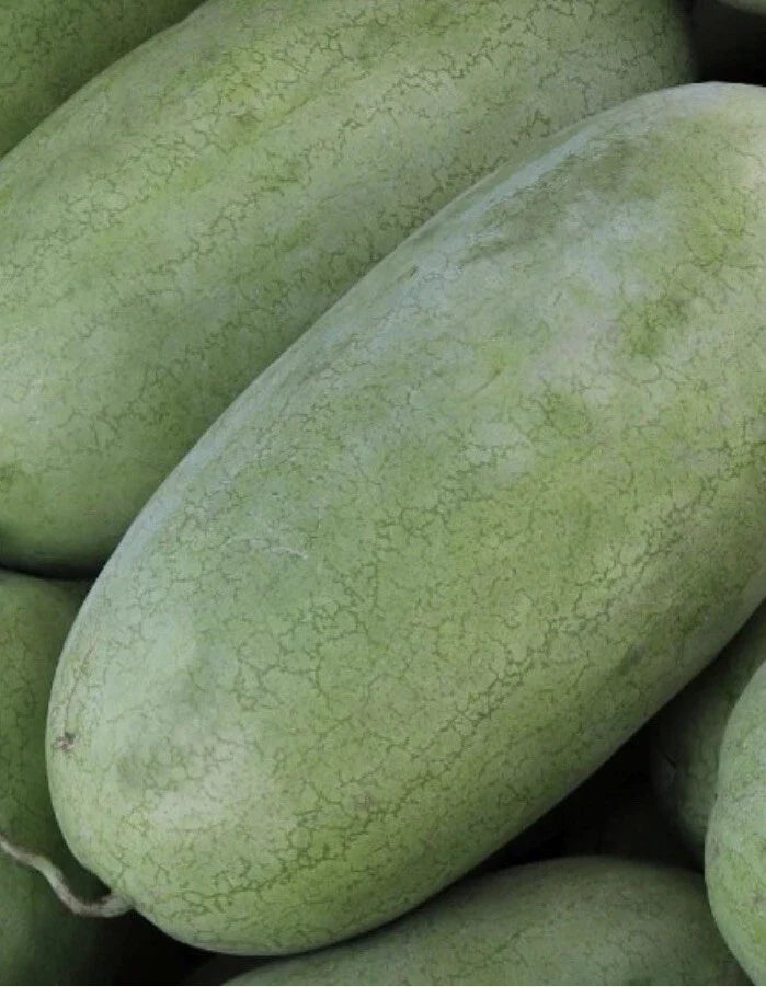 Charleston Gray Watermelon Seeds – Non-GMO, Large Fruit, Citrullus lanatus, 20 Pack