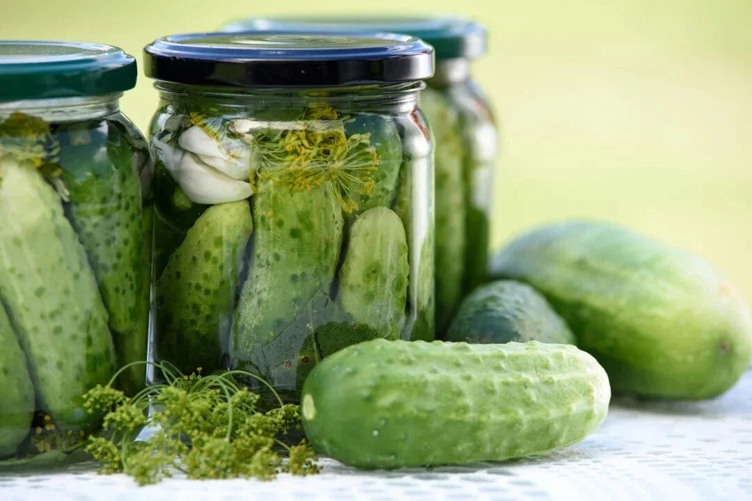 Heirloom National Pickling Cucumber Seeds – 25 Non-GMO Cucumis sativus for Dill Pickles & Salads, High Yield, Fast-Growing