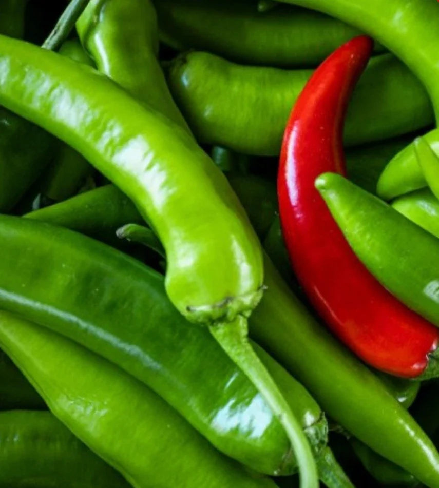 Serrano Hot Pepper Seeds - 200 Non-GMO Capsicum annuum for Spicy Salsas & Cooking, Heirloom Variety, Full Sun, Easy to Grow