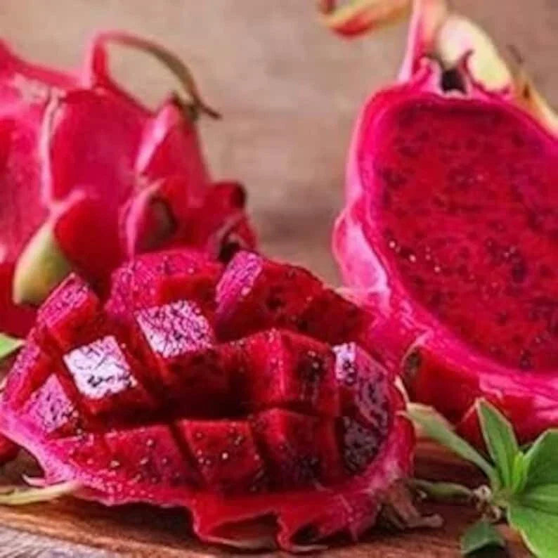 Red Dragon Fruit Seeds - 50 Pack, Hylocereus undatus, USA Grown