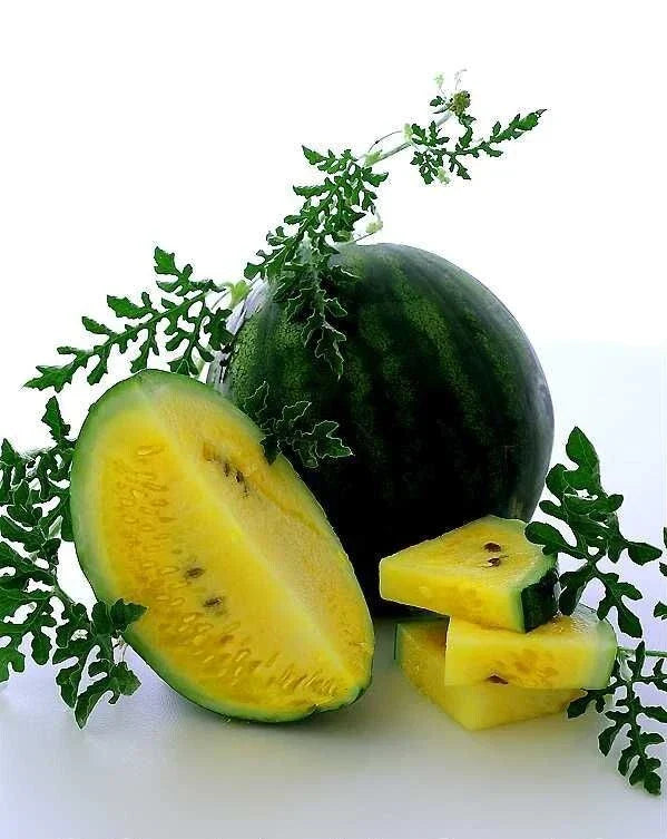 Golden Honey Watermelon Seeds - 10+ Heirloom Non-GMO Citrullus lanatus
