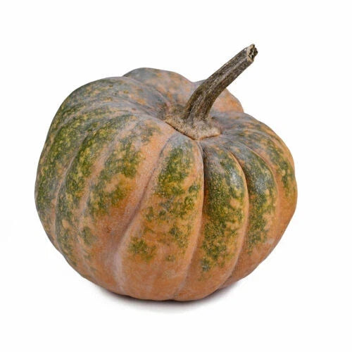 Musquee De Provence Pumpkin Seeds - 25+ Heirloom Cucurbita maxima for Garden Planting, Vining, Organic, USA