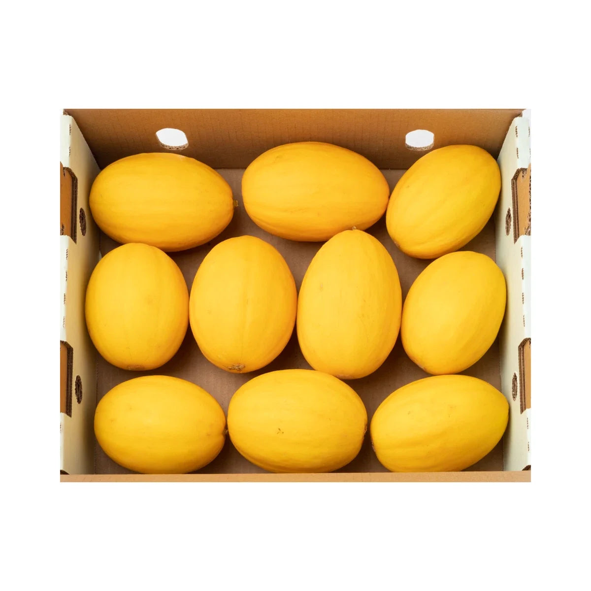 Korean Asaki Melon Seeds - 20 Pack, Sweet & Crisp, Cucumis melo, Vining Annual Fruit Seeds for Summer Gardening