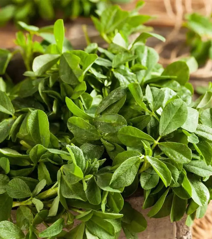 Fenugreek Herb Powder - Non-GMO, Heirloom, Trigonella foenum-graecum, Culinary Spice, Nutty Flavor