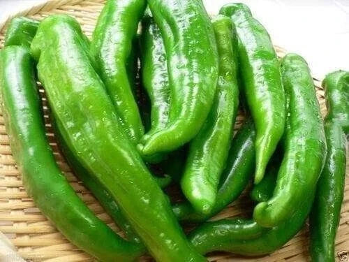 Sweet Manganji Pepper Seeds – 25 Premium Capsicum annuum for Home Garden, Container, Fresh, Cooking, Non-GMO