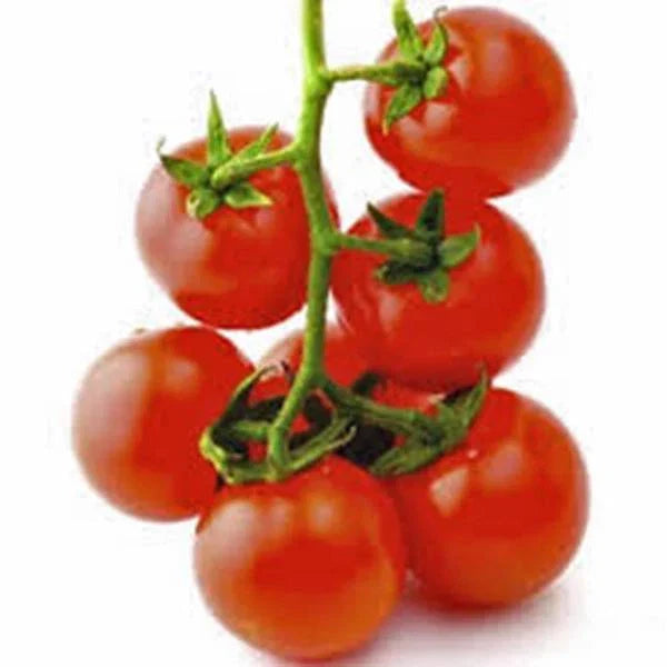 Sweet Large Cherry Tomato Seeds Heirloom Non-GMO 500+ Seeds for Home Gardening