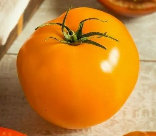 Golden Jubilee Tomato Seeds - 100+ Heirloom Vegetable Seeds for Sauce & Salad