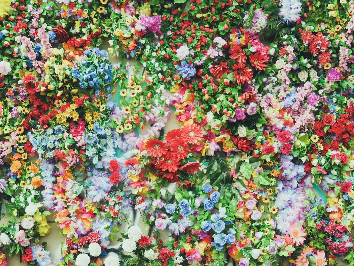 Princess Mix Flower Seeds Pack – 900+ Multi-Color Varieties for Gardens & Containers, Easy to Grow, Non-GMO, Attracts Pollinators