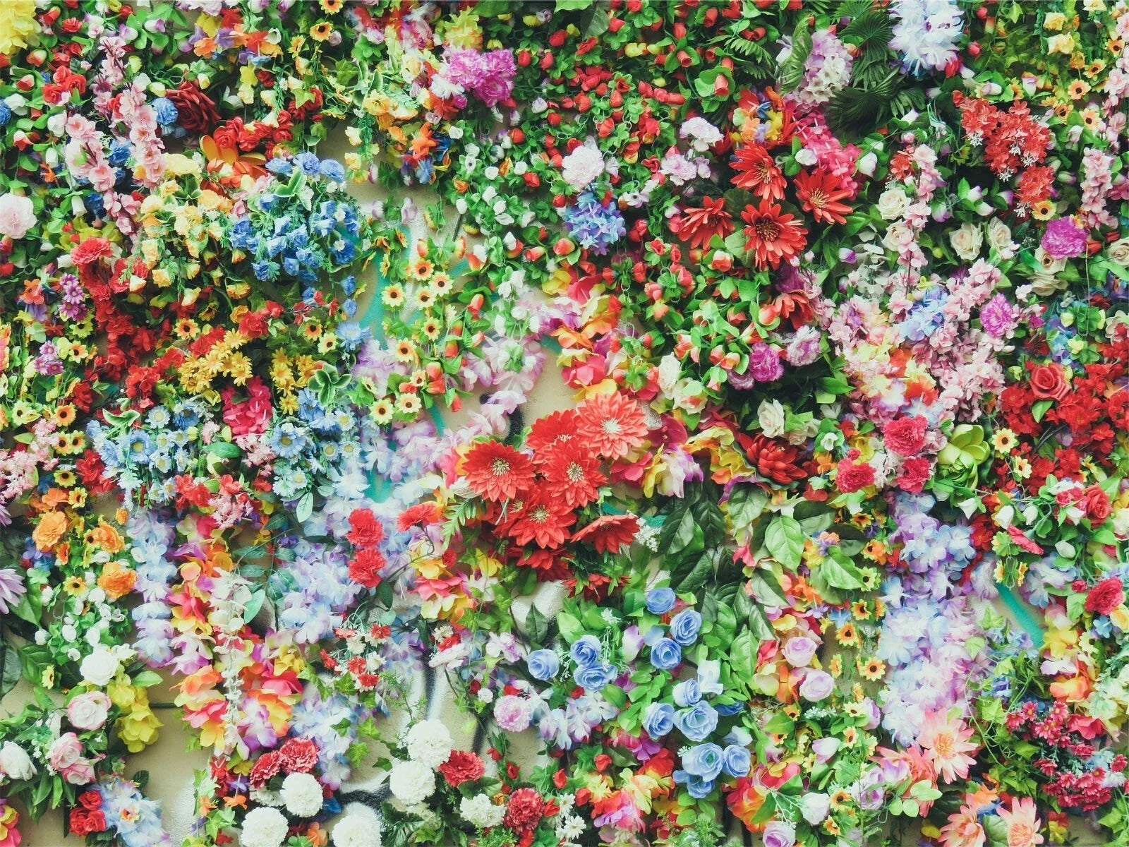 Princess Mix Flower Seeds Pack – 900+ Multi-Color Varieties for Gardens & Containers, Easy to Grow, Non-GMO, Attracts Pollinators