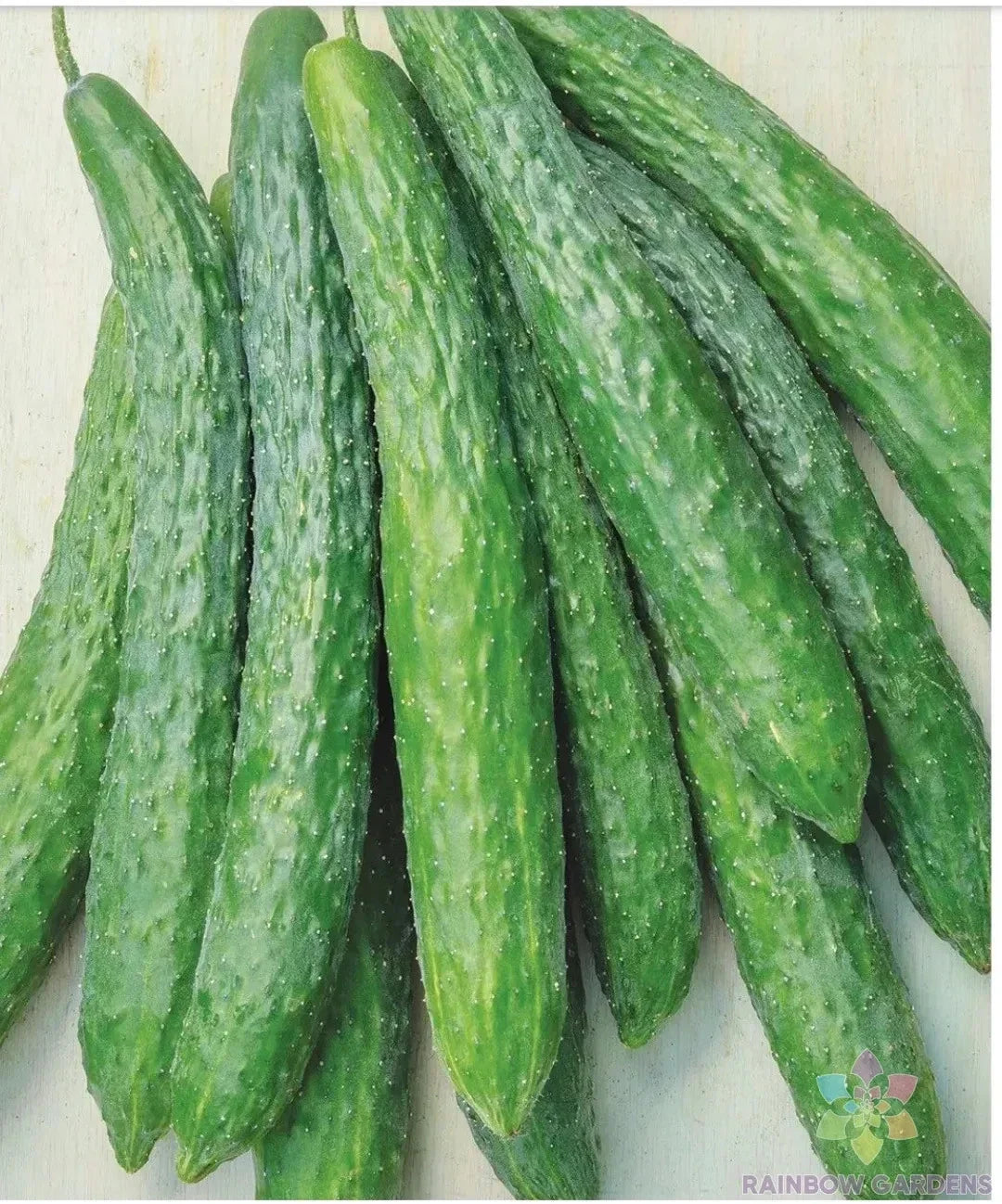 Dragon Suhyo Cross Cucumber Seeds – Heirloom, Cucumis sativus, 25+ Pack, Vining, Full Sun, USA Grown