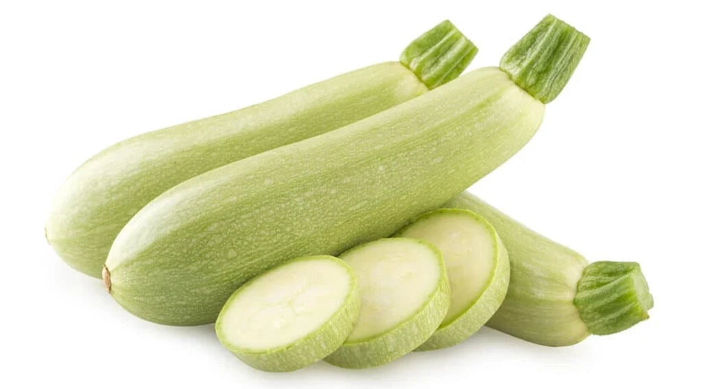 Bianco di Trieste Zucchini Seeds - 25+ Non-GMO Cucurbita pepo for Home Gardening & Bounty Harvest