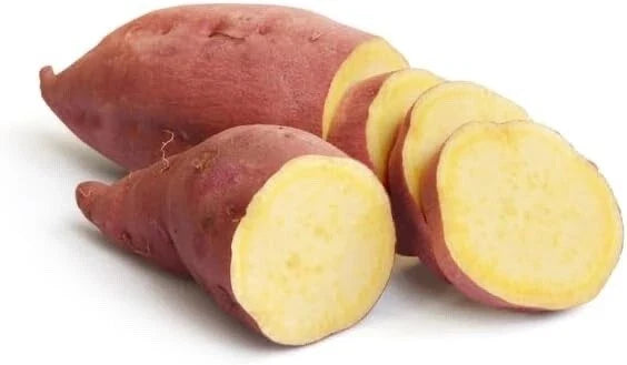 Yellow Murasaki Sweet Potato Slips for Planting - Organic Heirloom Ipomoea batatas, 6-8 Inches
