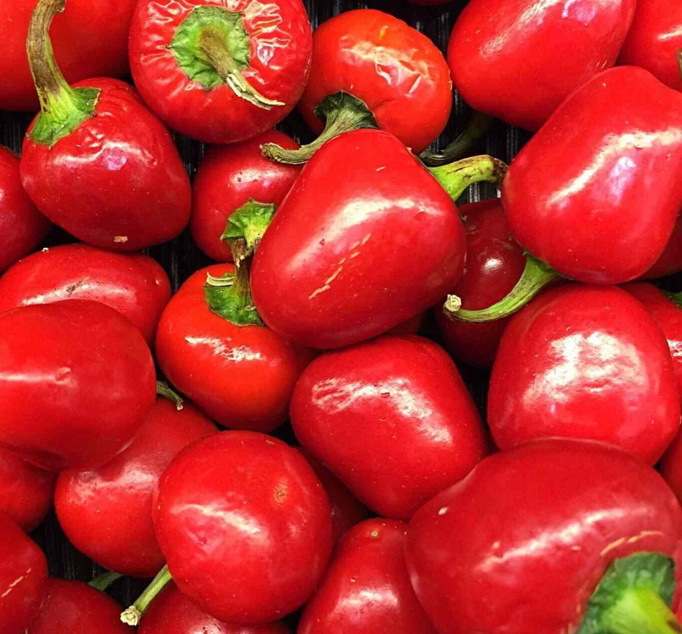 Pimento Pepper Seeds - 50+ Sweet Capsicum annuum for Garden Planting