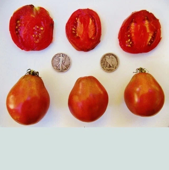 Japanese Black Trifele Tomato Seeds - Heirloom, Pear-Shaped, Rich Flavor, Solanum lycopersicum, 25 Seeds