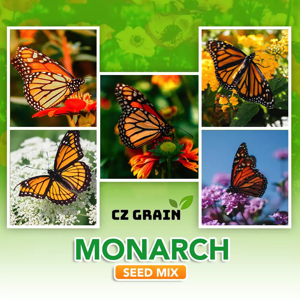 Monarch Butterfly Garden Seed Kit - Butterfly-Friendly Flowers for Attracting Monarchs - Asclepias spp. Seed Pack