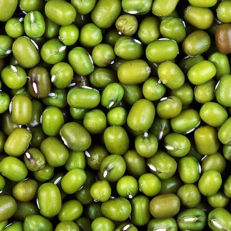 Mung Bean Seeds – 50+ Count, Vigna radiata, Green Beans for Planting 2025, Edible Sprouts & Vegetables