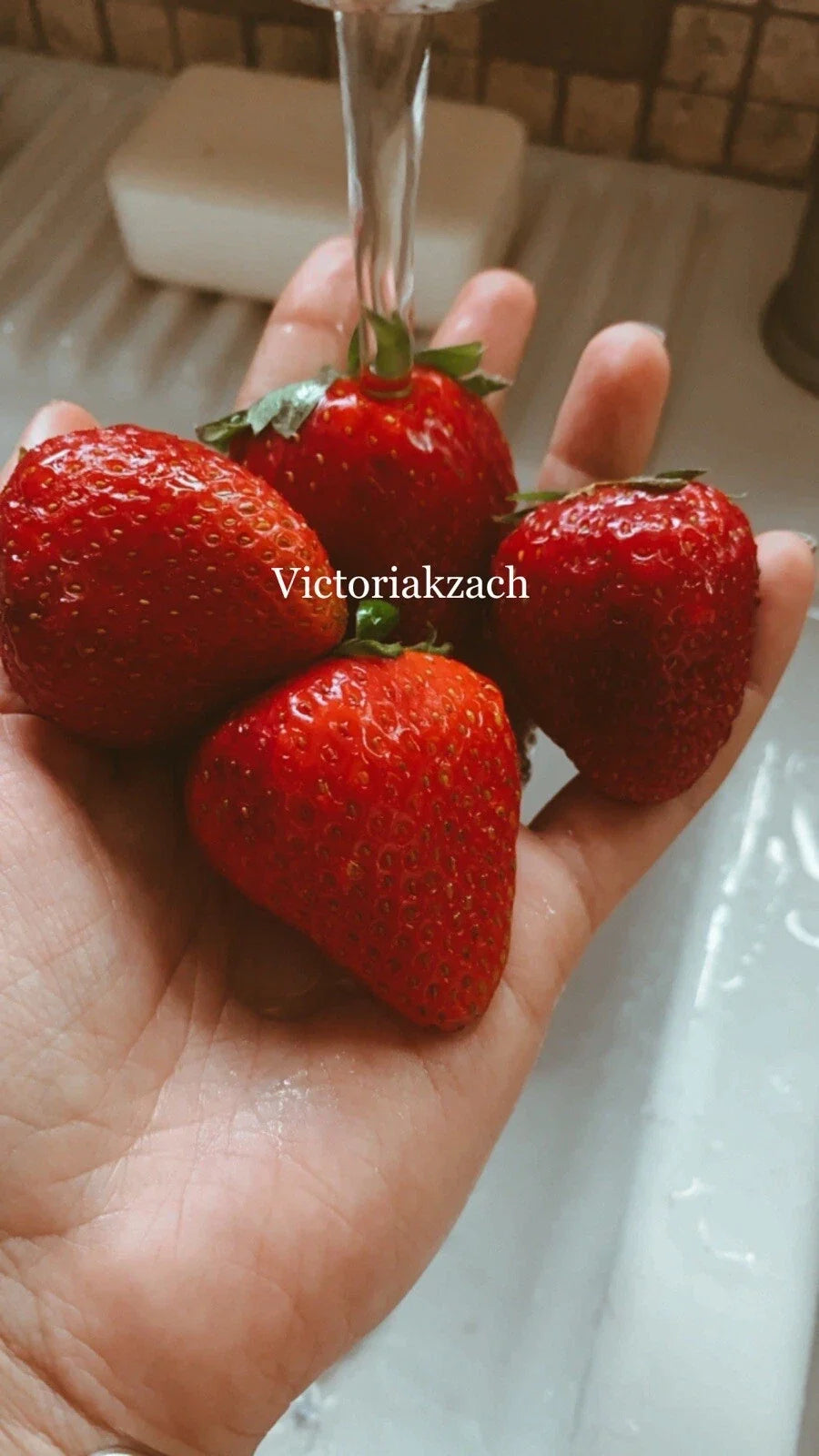 Organic Strawberry Seeds Pack of 100 – Fragaria × ananassa, Sweet Juicy Berries for Home Garden & Containers