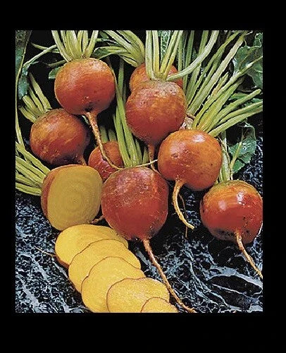 Golden Beet Seeds Heirloom Bulk - Burpee's Golden Beets Beta vulgaris