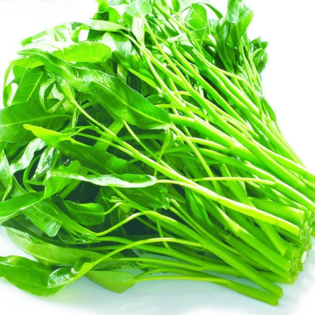 Kangkong Seeds - Rike 2000, Ong Choy, Rau Muong, Swamp Cabbage, Ipomoea aquatica, Vegetable Seeds for Gardening