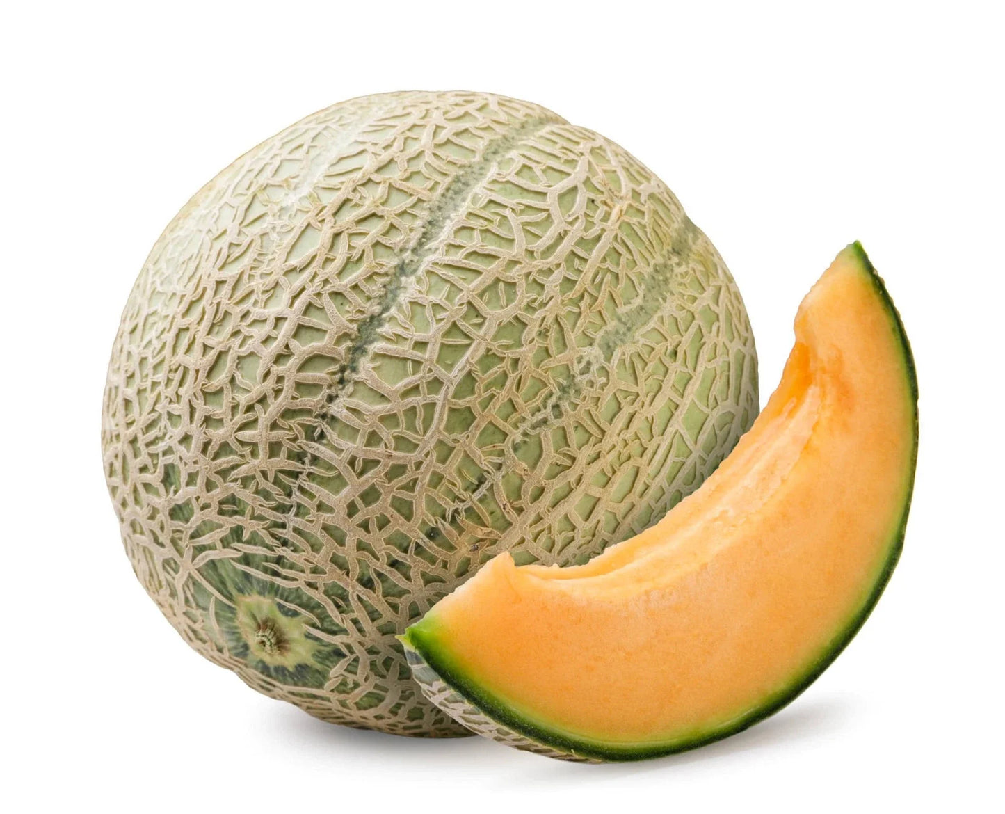 Hales Best Jumbo Cantaloupe Seeds – Non-GMO, Large, Juicy Cucumis melo for Home Gardening