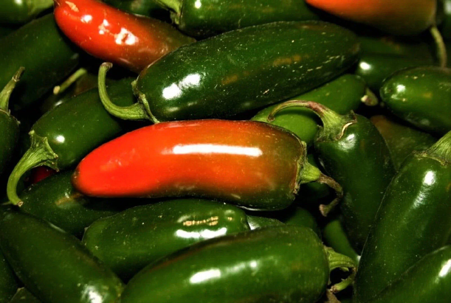 Jalapeno Pepper Seeds - Non-GMO Capsicum annuum for Home Gardens, Spicy Hot Peppers, 50+ Seeds