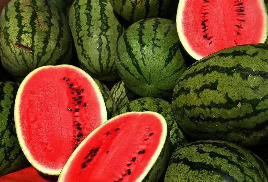 Kleckley's Sweet Watermelon Seeds - Heirloom, Large, Super Sweet, Citrullus lanatus, 100+ Seeds for Home Garden & Farming