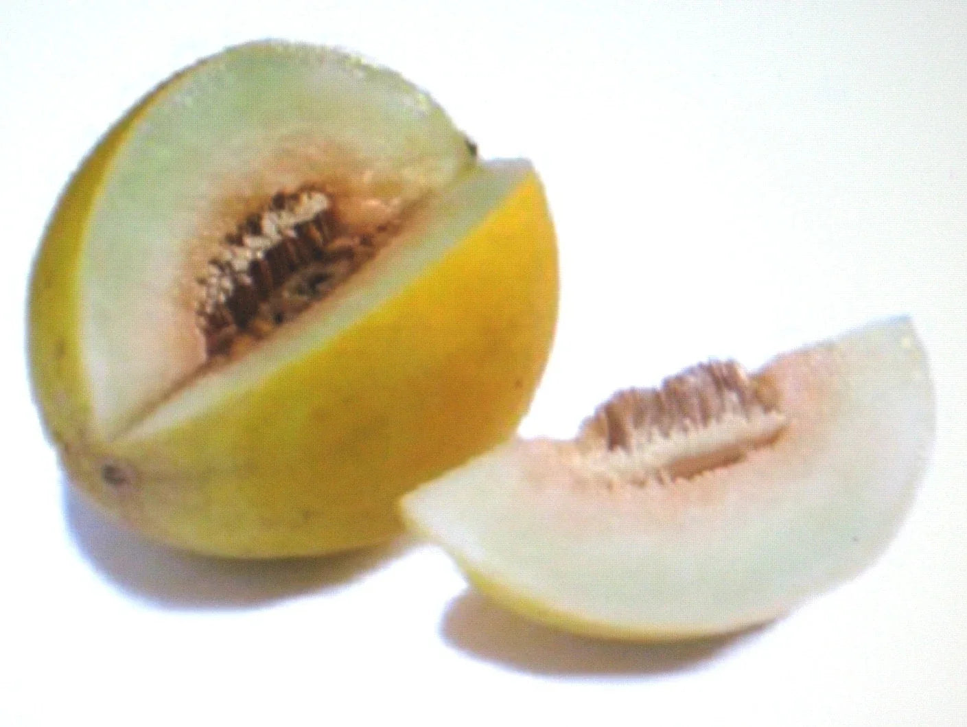 Canary Yellow Melon Seeds - 25 Premium Cucumis melo Seeds for Sweet Juicy Fruit, Vining, Bright Yellow Skin, Open-Pollinated
