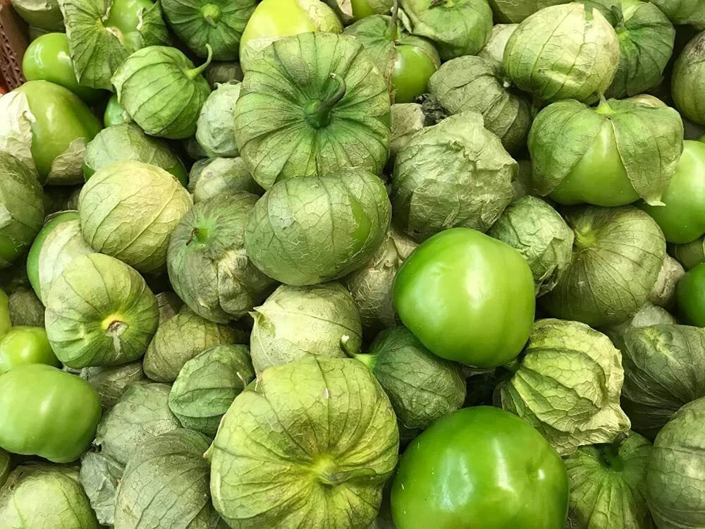 Rio Grande Verde Tomatillo Seeds - 100 Count for Growing, Physalis ixocarpa, Culinary, Salsa, Garden Plant