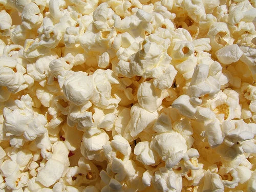 Popcorn Seeds Pennsylvania Dutch Butter - Fresh Non-GMO Planting Seeds