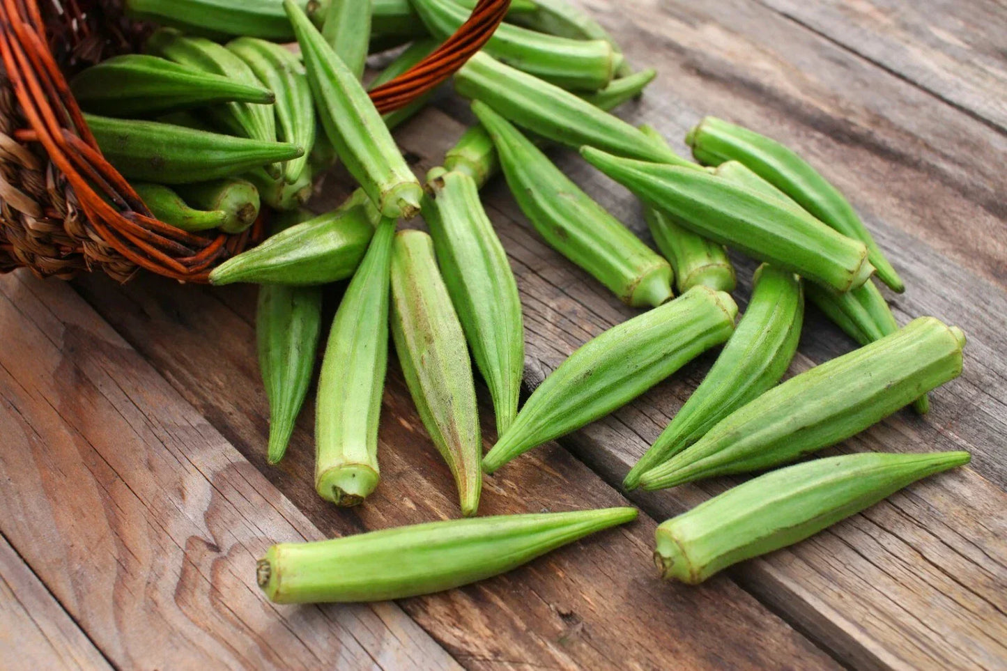 Emerald Okra Seeds - 100+ Organic Heirloom Seeds for Vegetable Gardening