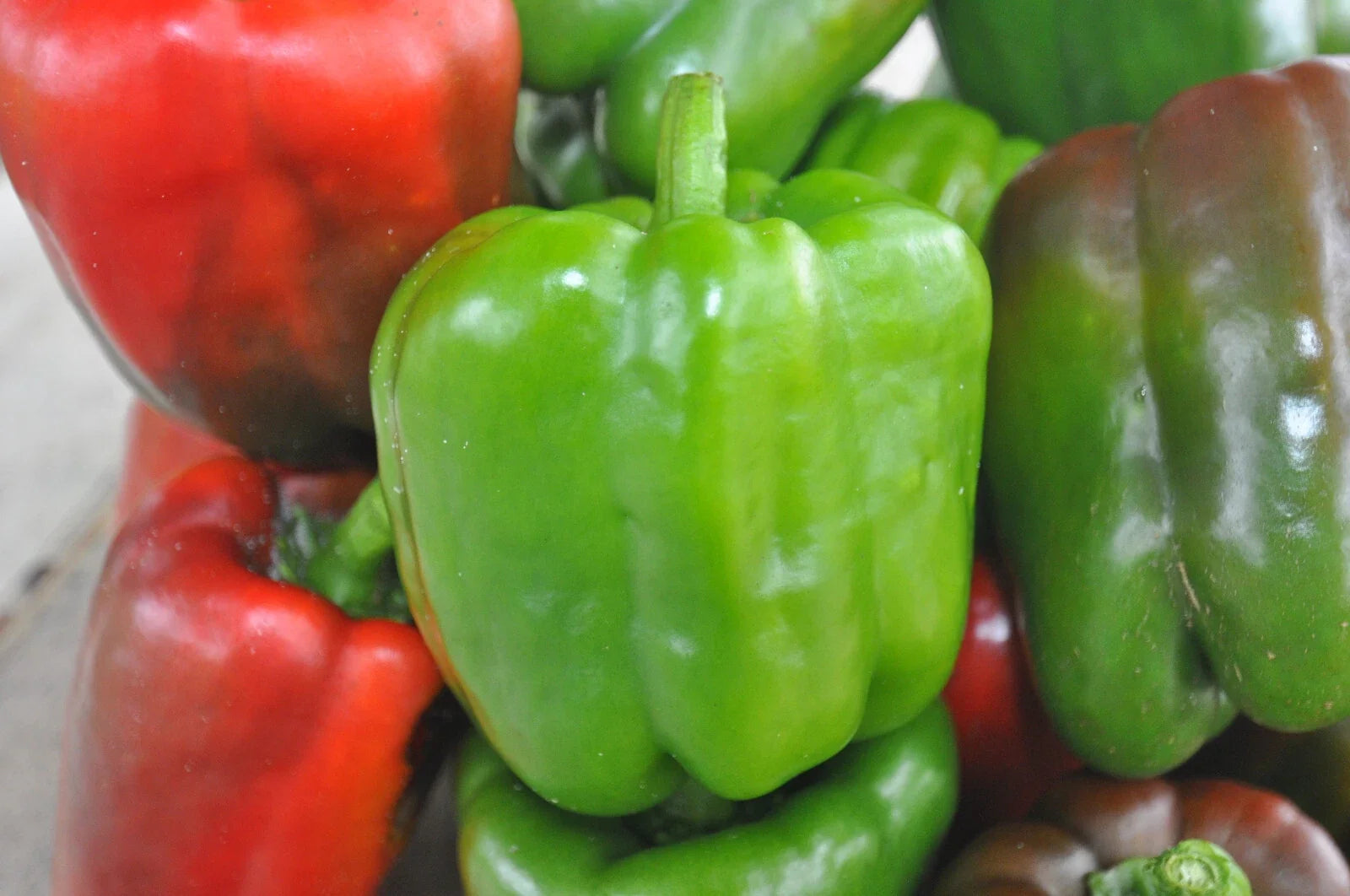 California Wonder Bell Pepper Seeds - 100 Non-GMO Heirloom Capsicum annuum for Garden Vegetables