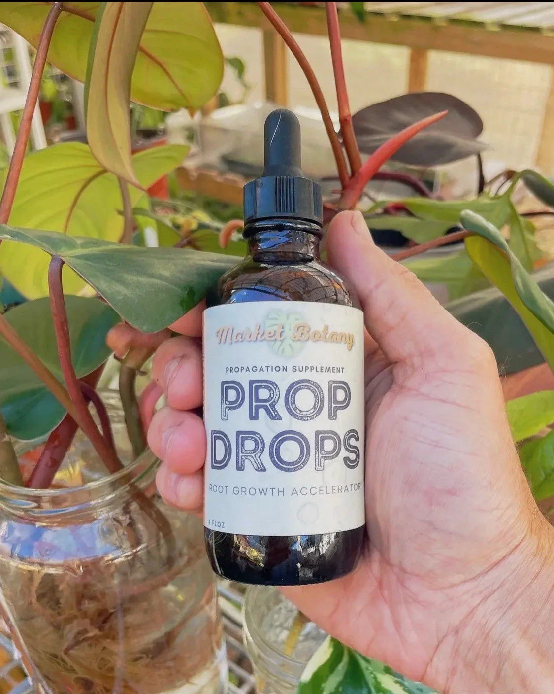 Propagation Plant Drops for Root Growth | Indoor Gardening Solution | Plant Propagation Liquid | Promotes Healthy Roots