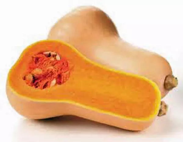 Butternut Squash Seeds - Heirloom Waltham Cucurbita moschata Non-GMO for Home Garden, Fall Harvest
