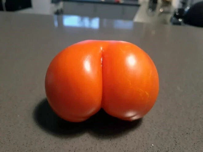 Weird Ass Tomato Seeds - 50+ Heirloom Non-GMO Varieties for Garden Planting - Solanum lycopersicum