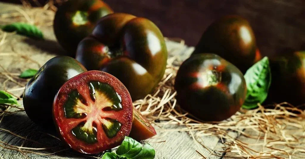 Black Truffle Tomato Seeds - 10+ Heirloom Organic Non-GMO Seeds for Home Gardening