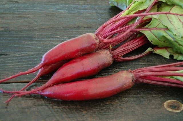 Cylindra Long Red Beet Seeds – Heirloom Beta vulgaris for Slicing, Salads & Roasting – Pack of 50 to 4800 Seeds