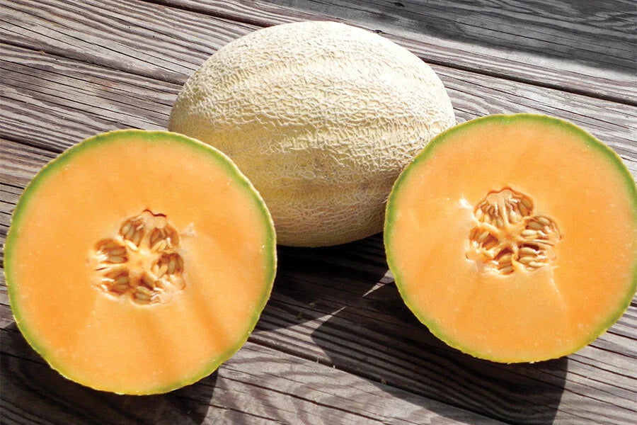 Cantaloupe Seeds Cleopatra Variety - Fresh Cucumis melo Seeds for Planting