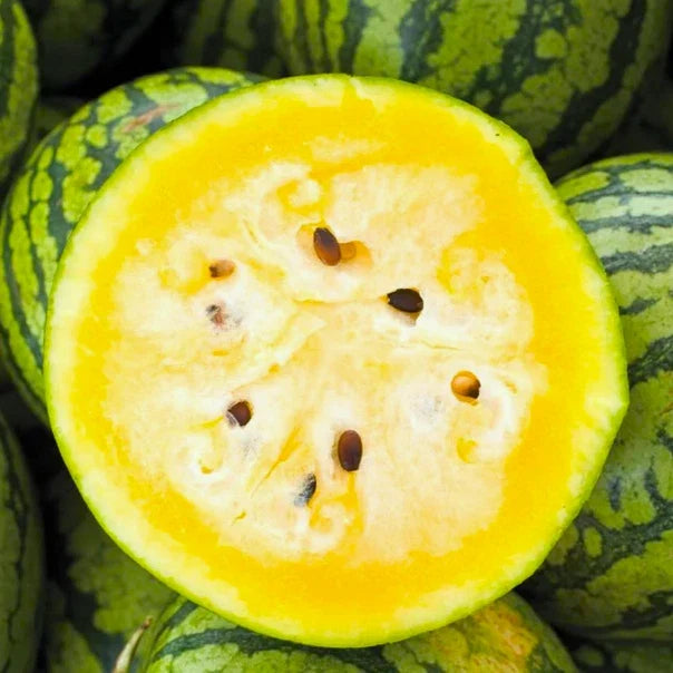 Mountain Sweet Yellow Watermelon Seeds - Citrullus lanatus - Bright Yellow Flesh, Juicy, Non-GMO, Ideal for Summer Gardens
