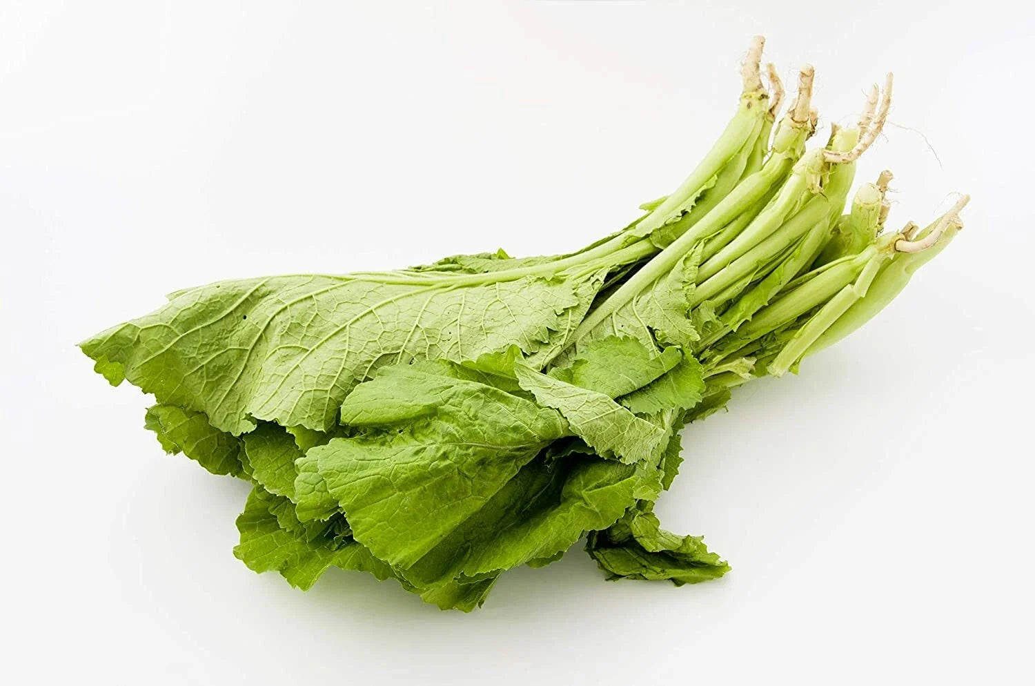 Florida Broadleaf Mustard Greens Seeds - 250 Pack, Brassica juncea, Heirloom, Non-GMO, Made in USA, Easy to Grow, Cool Weather Greens