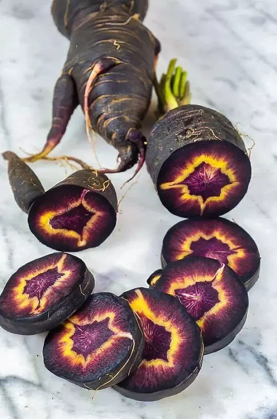 Black Nebula Carrot Seeds - 100+ Organic Heirloom Non-GMO Daucus carota