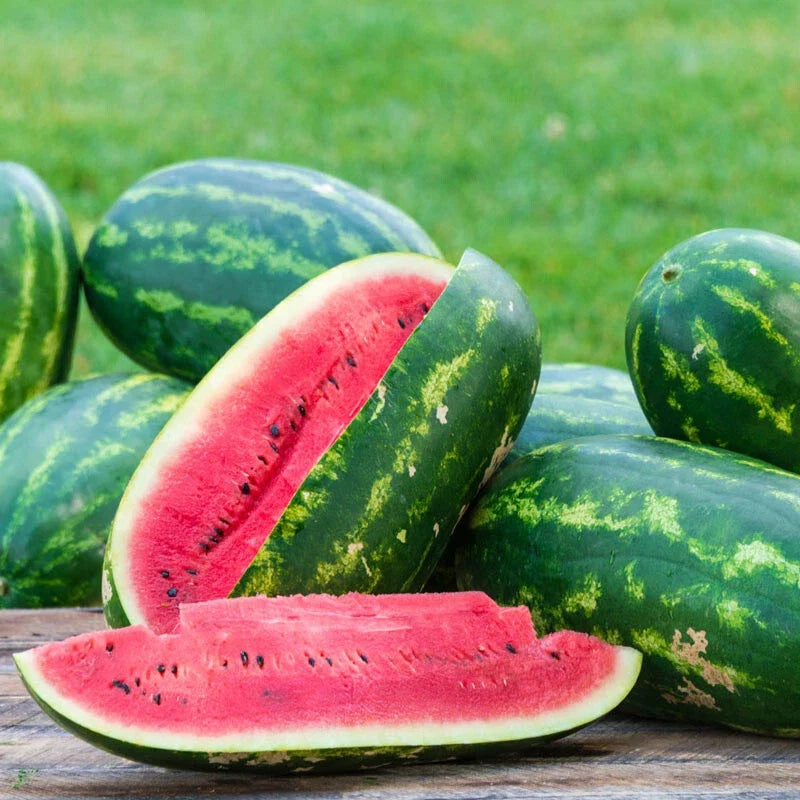 Sangria Watermelon Seeds - Pack of 50+ Citrullus lanatus Heirloom Non-GMO Garden Seeds for Backyard Planting