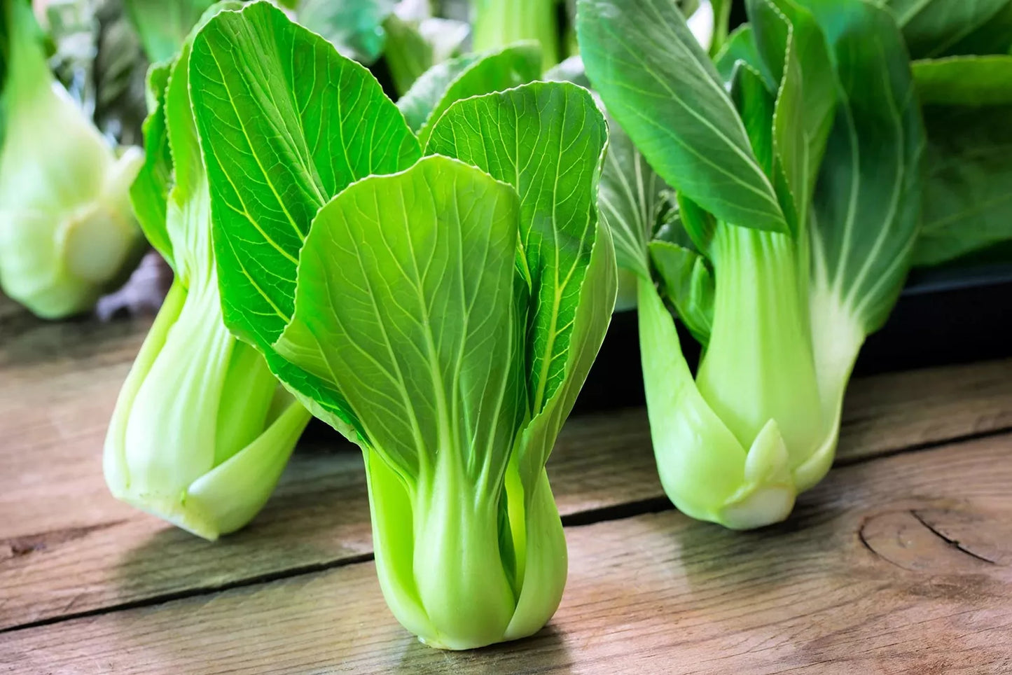 Bok Choy Seeds Heirloom Non-GMO Chinese Cabbage for Vegetable Gardening